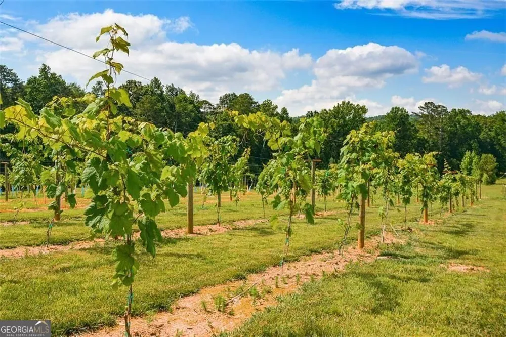 119 Inland 2 DR Talking Rock, GA 30175