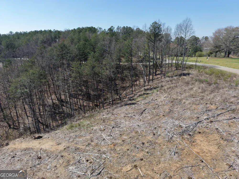 0 Young LOOP Fairmount, GA 30139