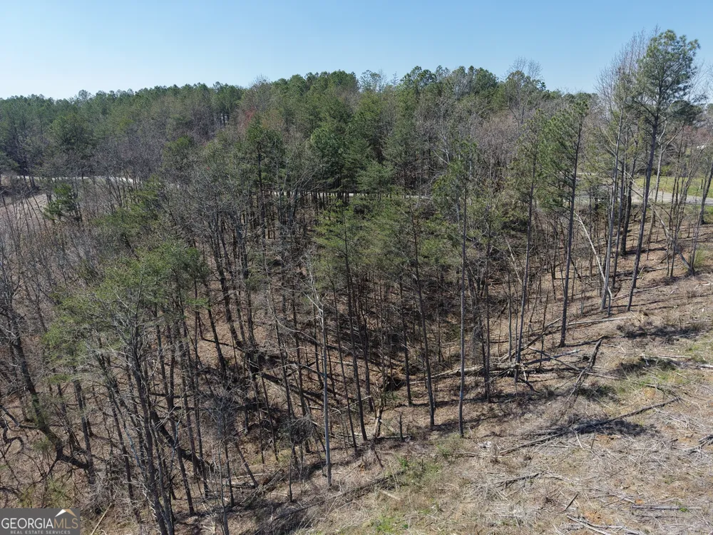 0 Young LOOP Fairmount, GA 30139