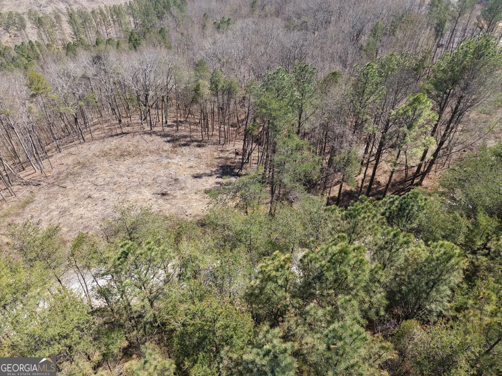 0 Young LOOP Fairmount, GA 30139