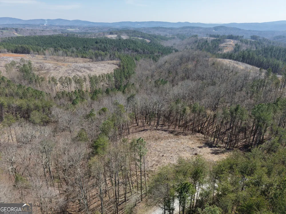 0 Young LOOP Fairmount, GA 30139