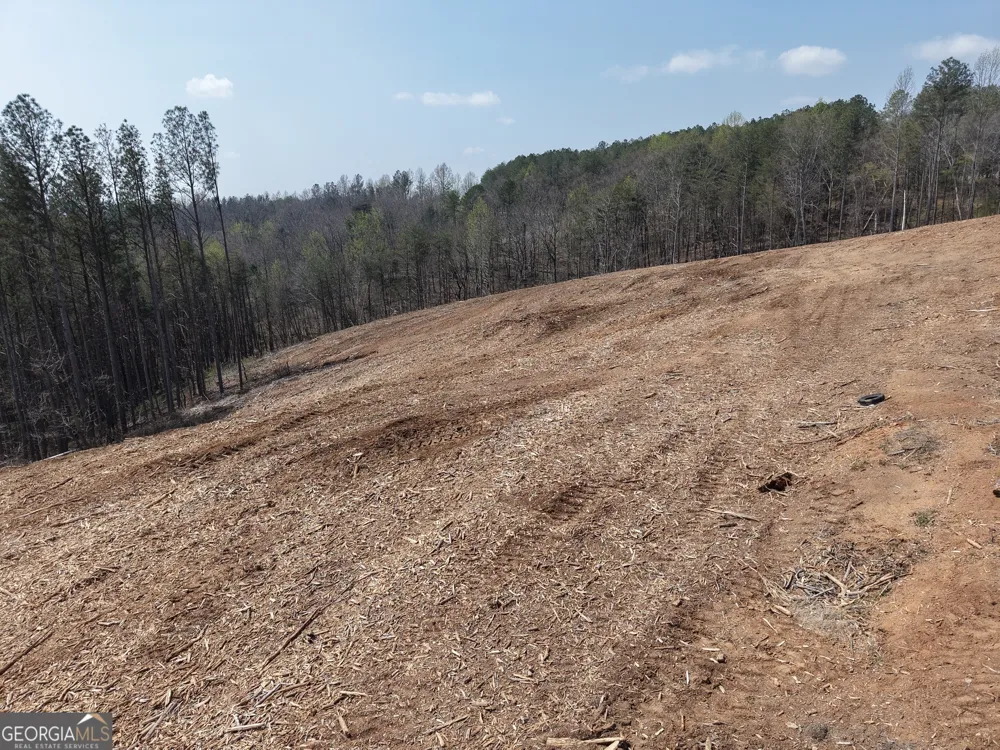 0 Young LOOP Fairmount, GA 30139