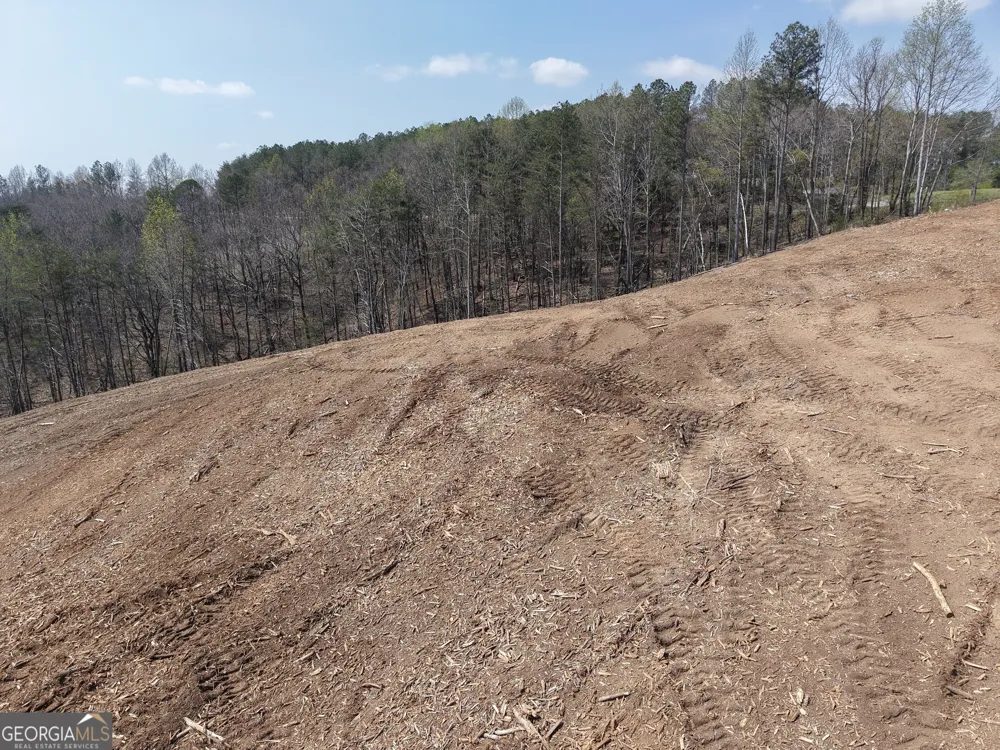 0 Young LOOP Fairmount, GA 30139