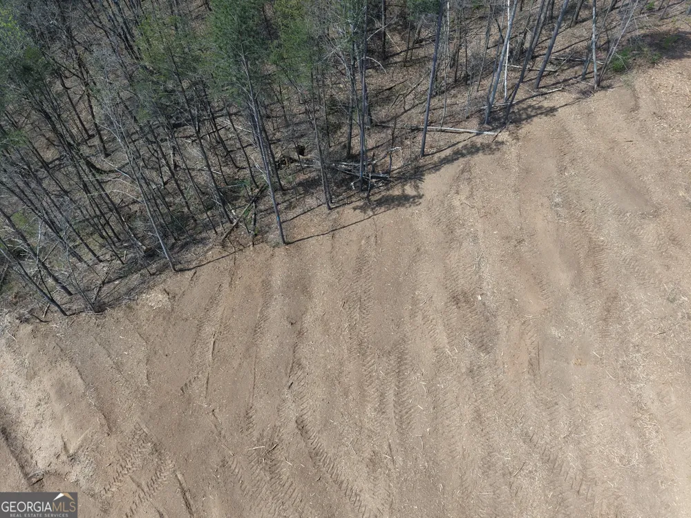 0 Young LOOP Fairmount, GA 30139