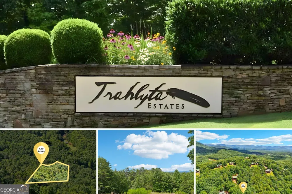0 Ranch Mountain CT Dahlonega, GA 30533