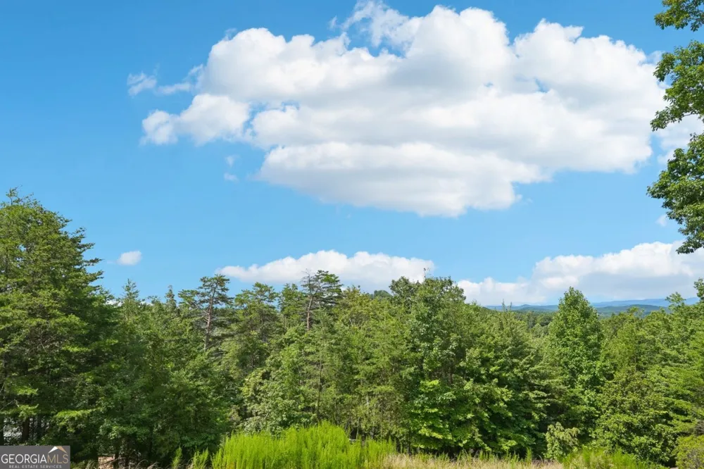0 Ranch Mountain CT Dahlonega, GA 30533