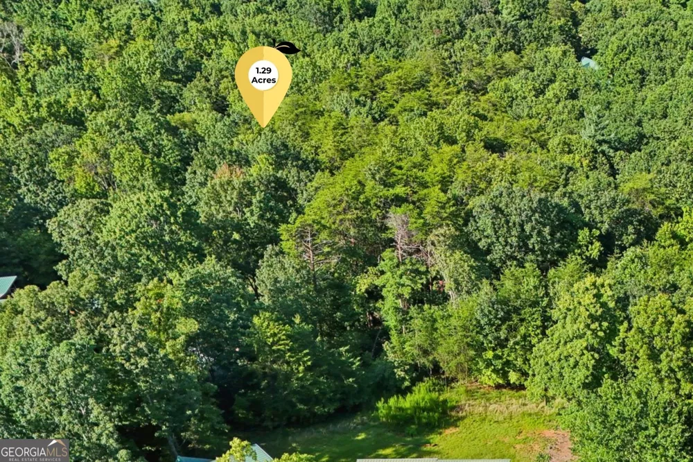 0 Ranch Mountain CT Dahlonega, GA 30533