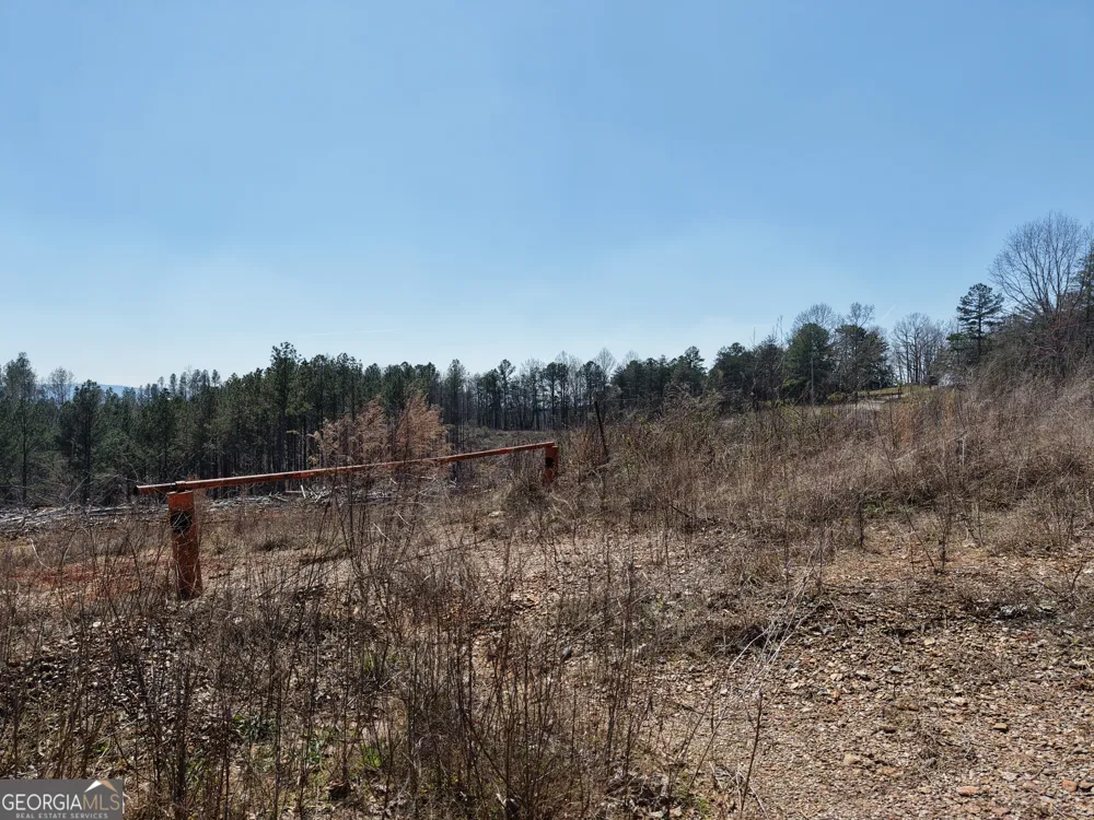 0 Angel RD Fairmount, GA 30139