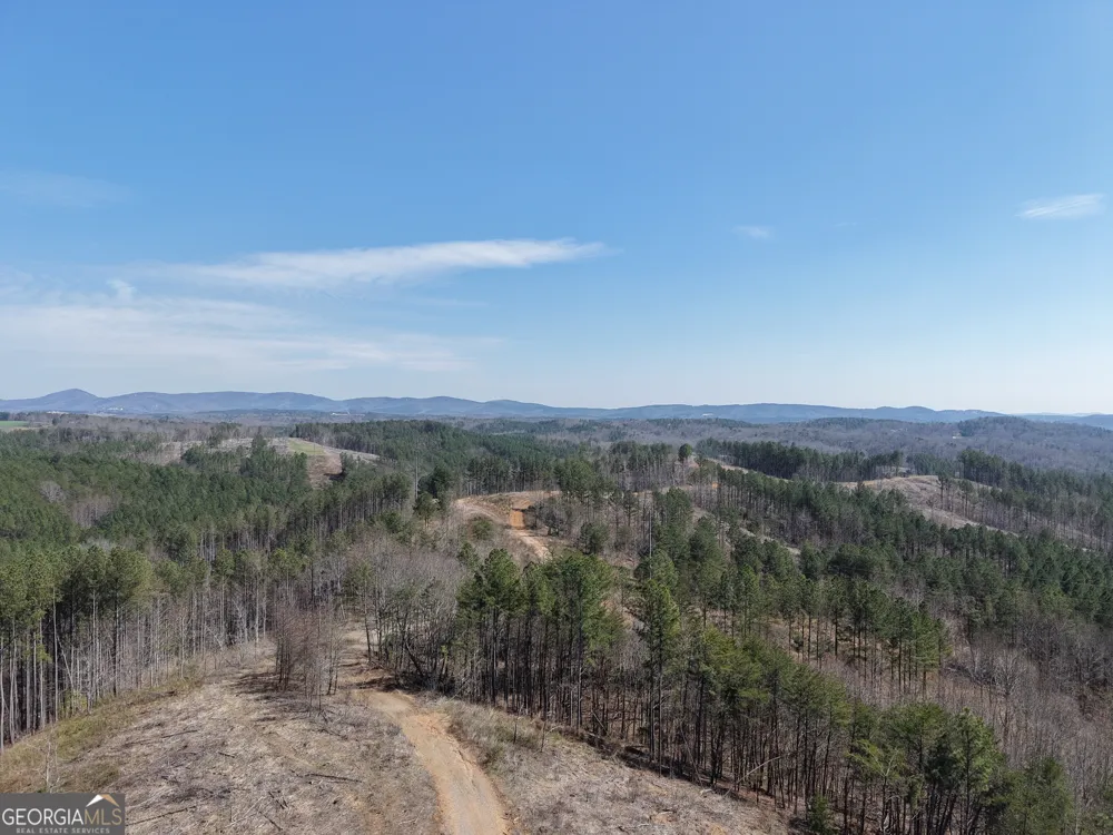 0 Angel RD Fairmount, GA 30139