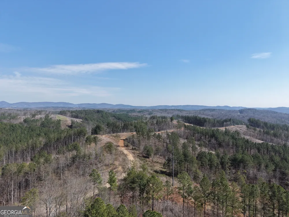 0 Angel RD Fairmount, GA 30139
