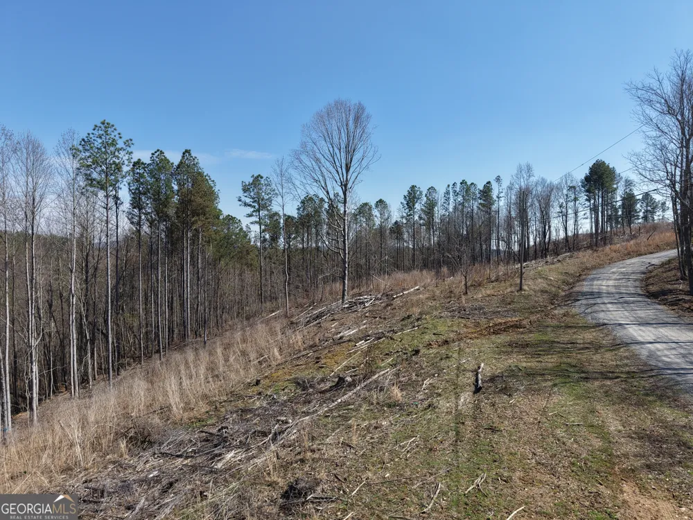 0 Angel RD Fairmount, GA 30139