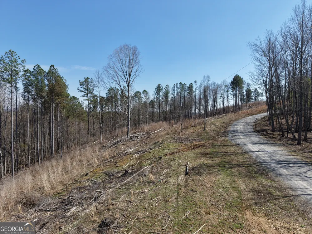 0 Angel RD Fairmount, GA 30139