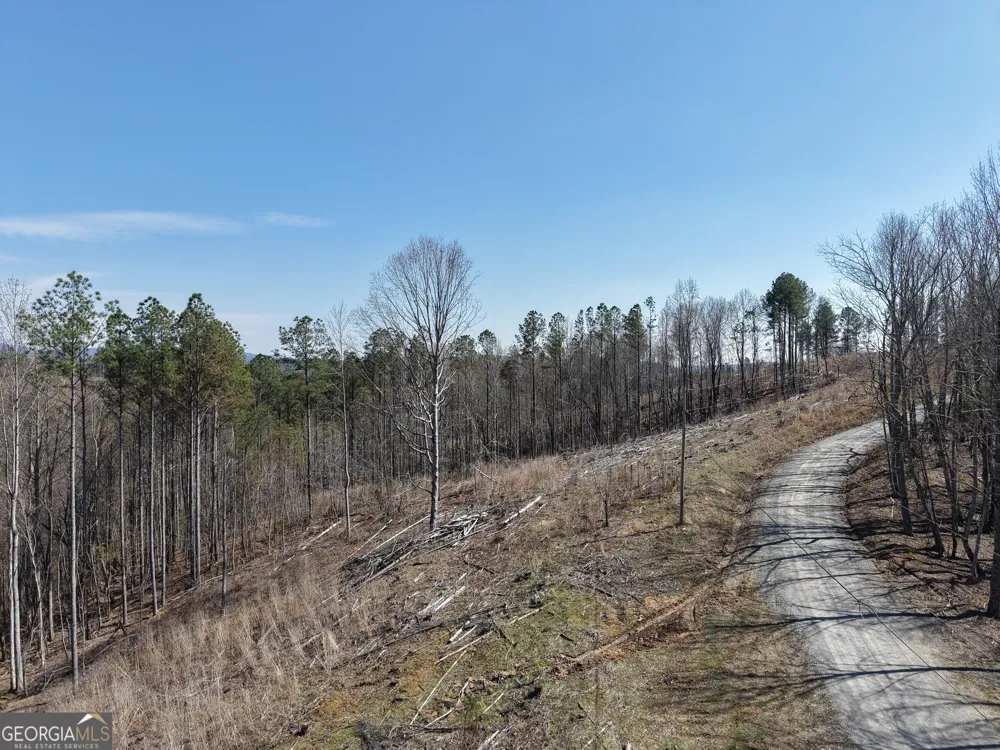 0 Angel RD Fairmount, GA 30139