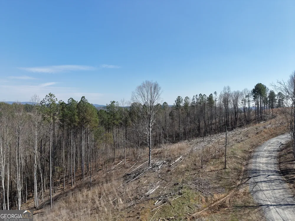 0 Angel RD Fairmount, GA 30139