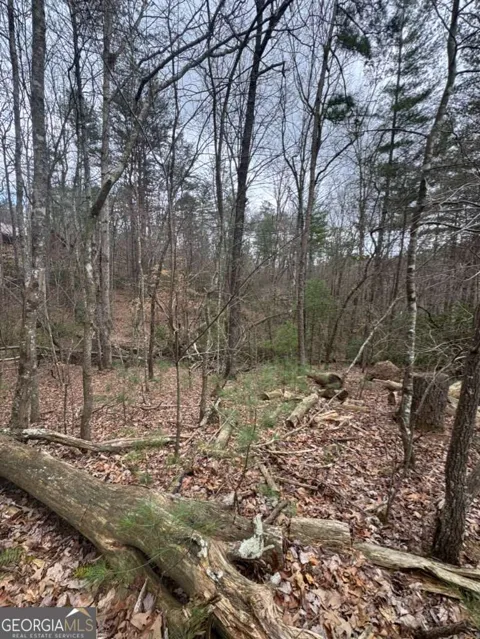 LOT 16R Leatherwood Mountain RD