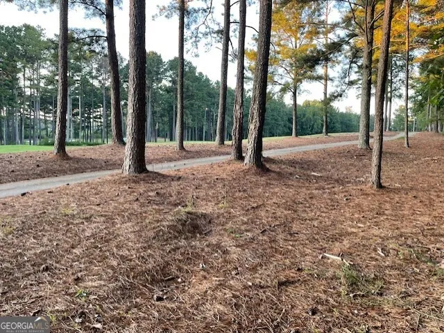 32 Duval CT Villa Rica, GA 30180