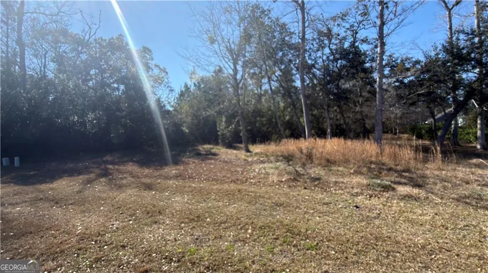 0 Maiden Creek DR Waverly, GA 31565