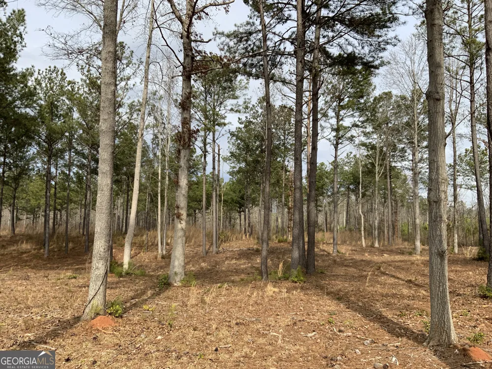 145 Falls LN Milledgeville, GA 31061