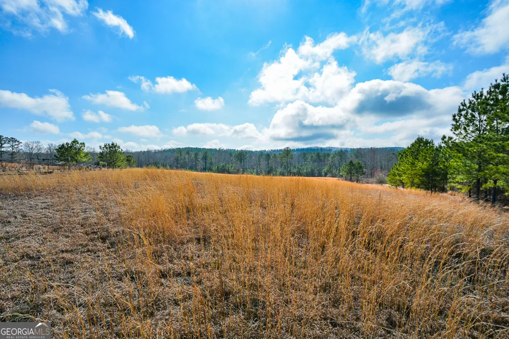 119 Inland DR Talking Rock, GA 30175