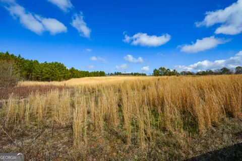 119 Inland 4 acres DR