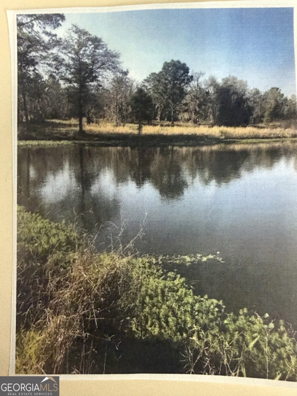 0 Henry-Mimbs Hazlehurst, GA 31539