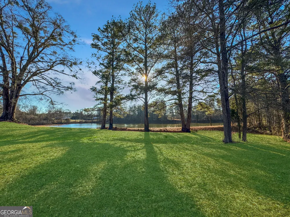 21171 Hwy 431 Multiple Parcels LaFayette, AL 36862