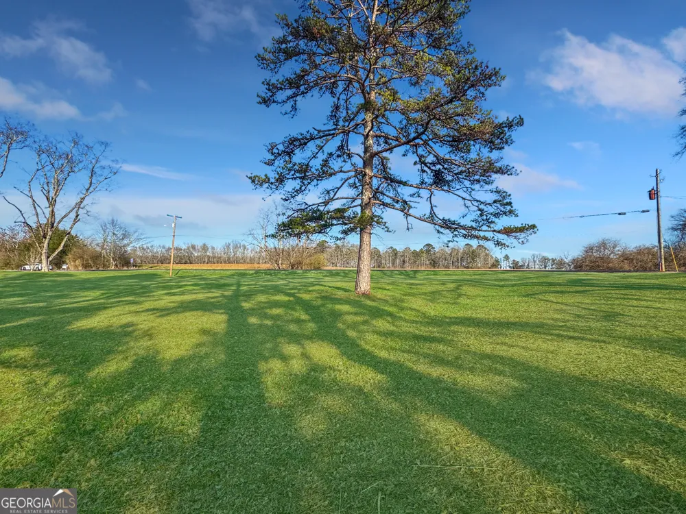 21171 Hwy 431 Multiple Parcels LaFayette, AL 36862
