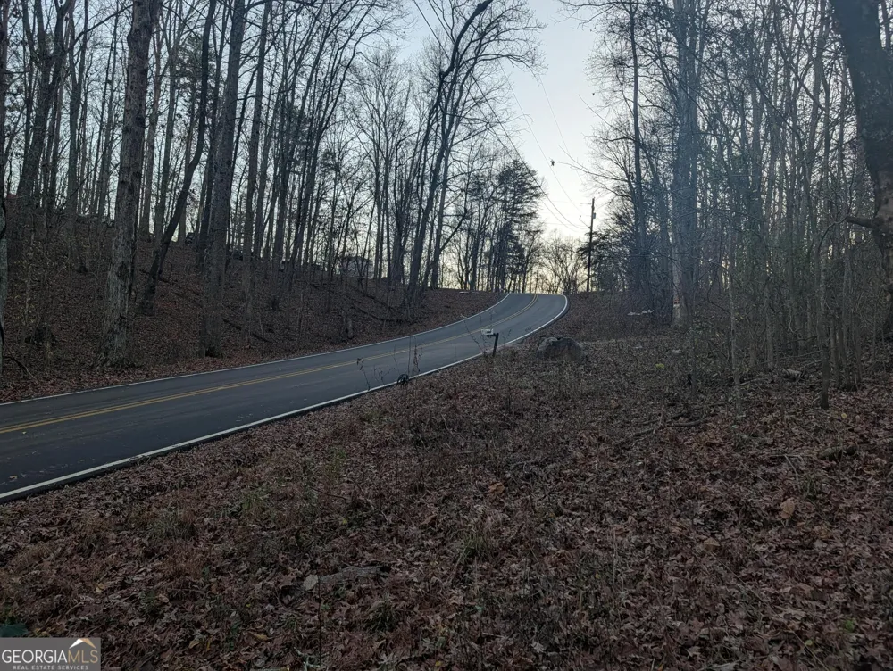0 Hicks Hollow RD Trenton, GA 30752