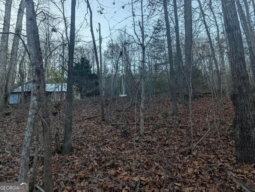 0 Hicks Hollow RD Trenton, GA 30752