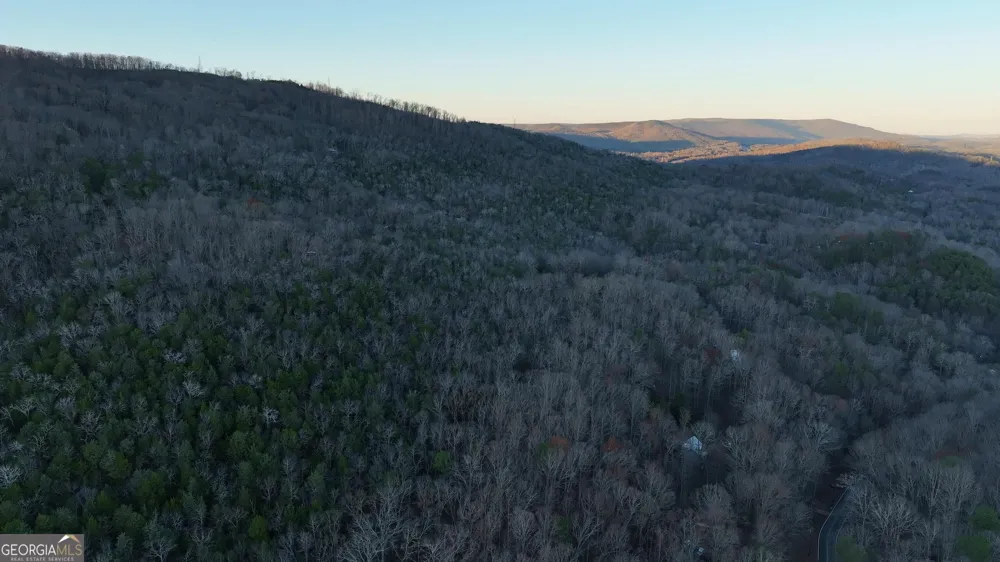 0 Hicks Hollow RD Trenton, GA 30752