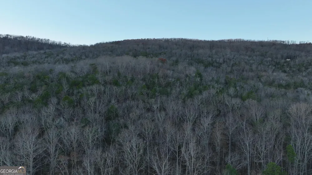 0 Hicks Hollow RD Trenton, GA 30752
