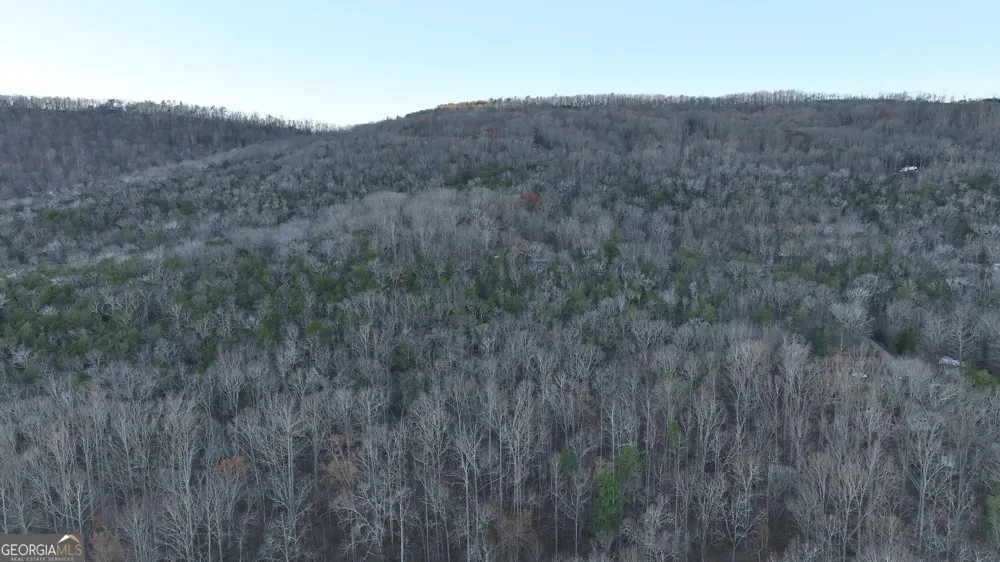 0 Hicks Hollow RD Trenton, GA 30752