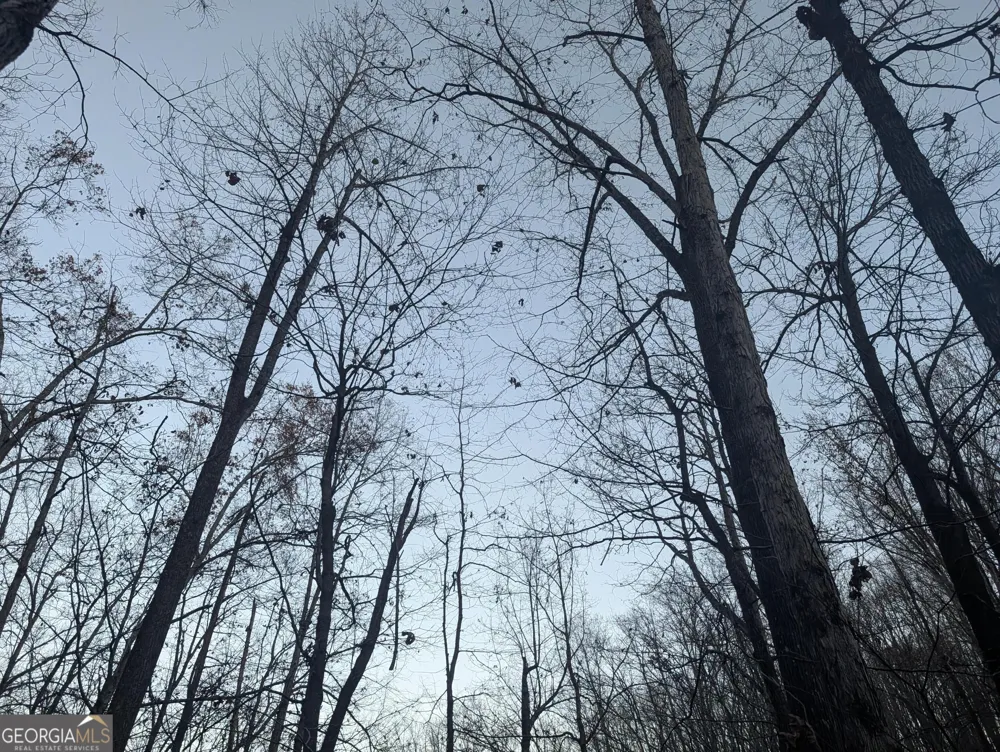 0 Hicks Hollow RD Trenton, GA 30752