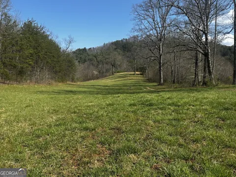 0 Georgia RD