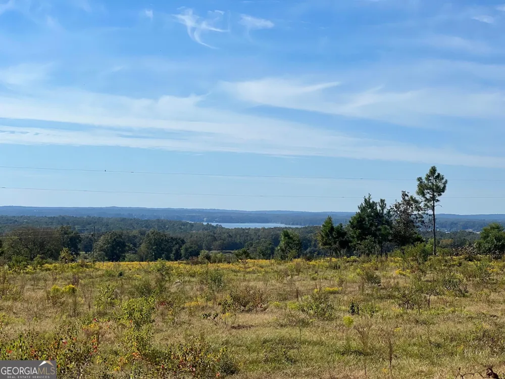 327 Deer Point RD Georgetown, GA 39854