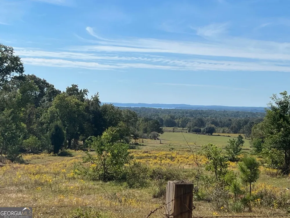 327 Deer Point RD Georgetown, GA 39854