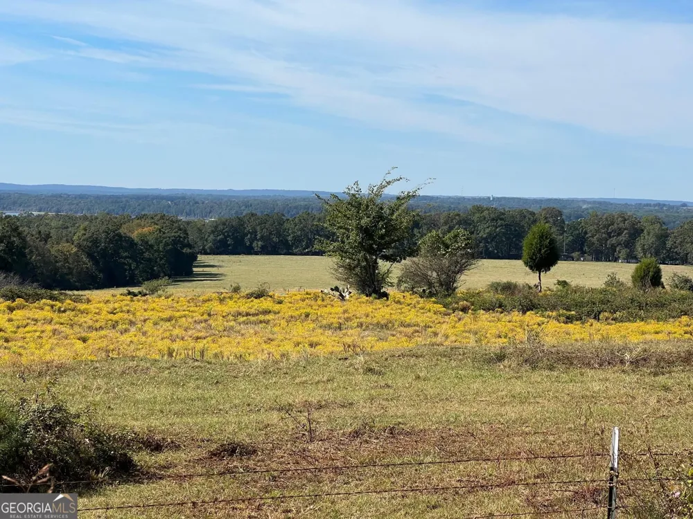 327 Deer Point RD Georgetown, GA 39854