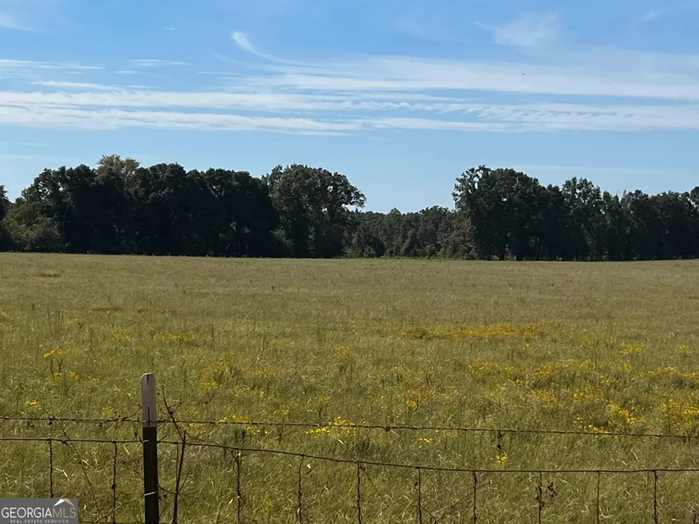 327 Deer Point RD Georgetown, GA 39854