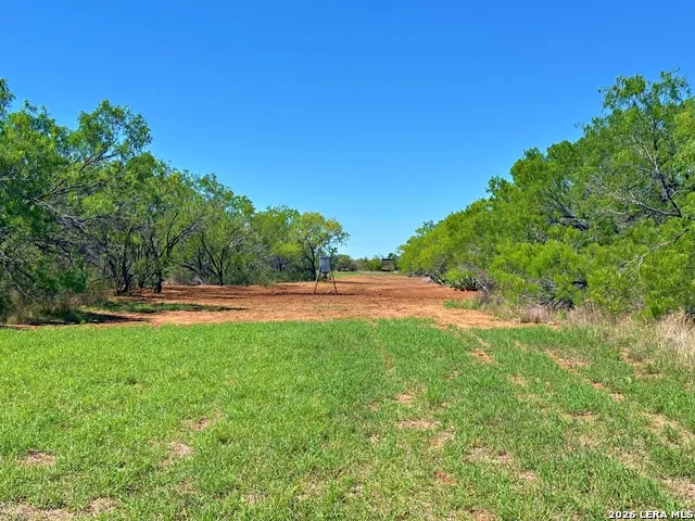 3265 Highway 97 Jourdanton, TX 78026