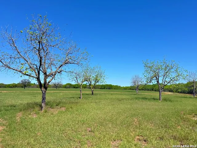 3265 Highway 97 Jourdanton, TX 78026