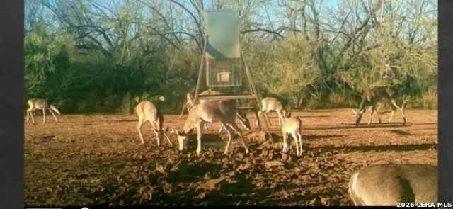 3265 Highway 97 Jourdanton, TX 78026