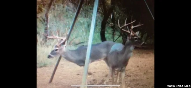 3265 Highway 97 Jourdanton, TX 78026
