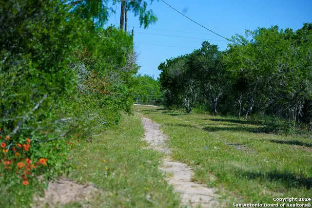 48.25 ACRES County Road 114 George West, TX 78466