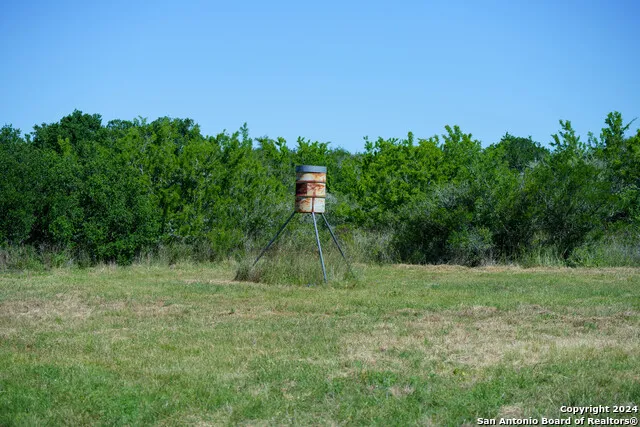 48.25 ACRES County Road 114 George West, TX 78466