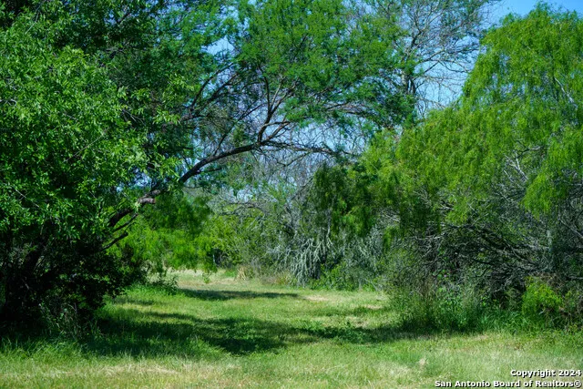 48.25 ACRES County Road 114 George West, TX 78466