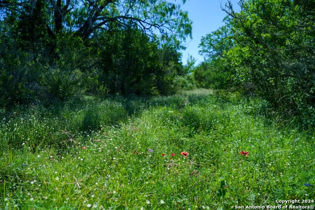 48.25 ACRES County Road 114 George West, TX 78466