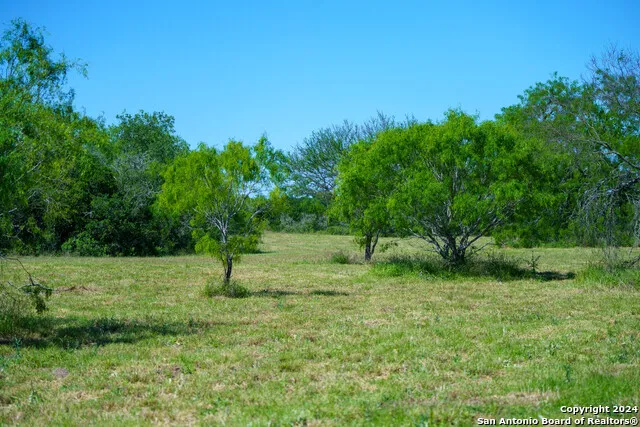 48.25 ACRES County Road 114 George West, TX 78466