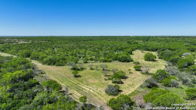 48.25 ACRES County Road 114 George West, TX 78466