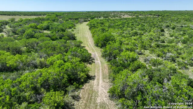 48.25 ACRES County Road 114 George West, TX 78466