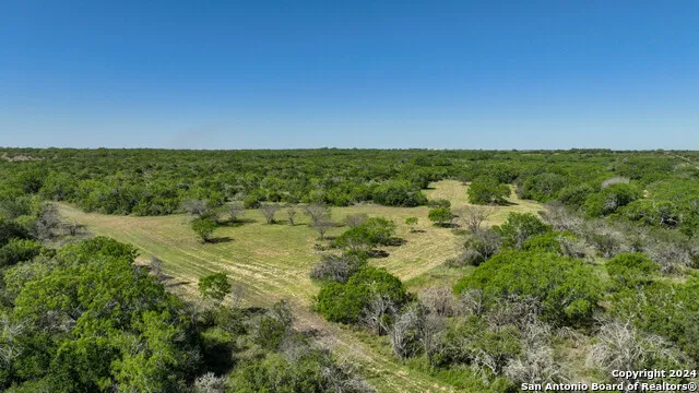 48.25 ACRES County Road 114 George West, TX 78466